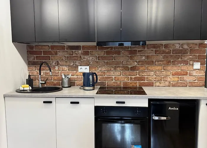 Zabrsaint Z Dusza 1 Sypialnia Balkon Centrum Zxxi Apartmán